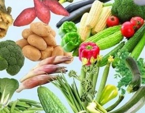 土壤污染物诊断